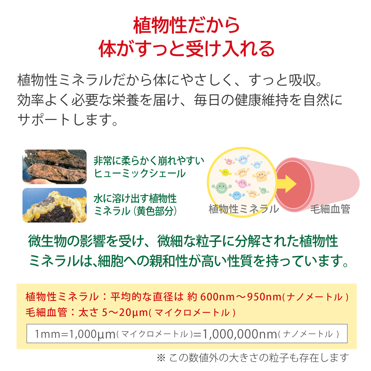 EONiCA 植物ミネラル水 1000mL