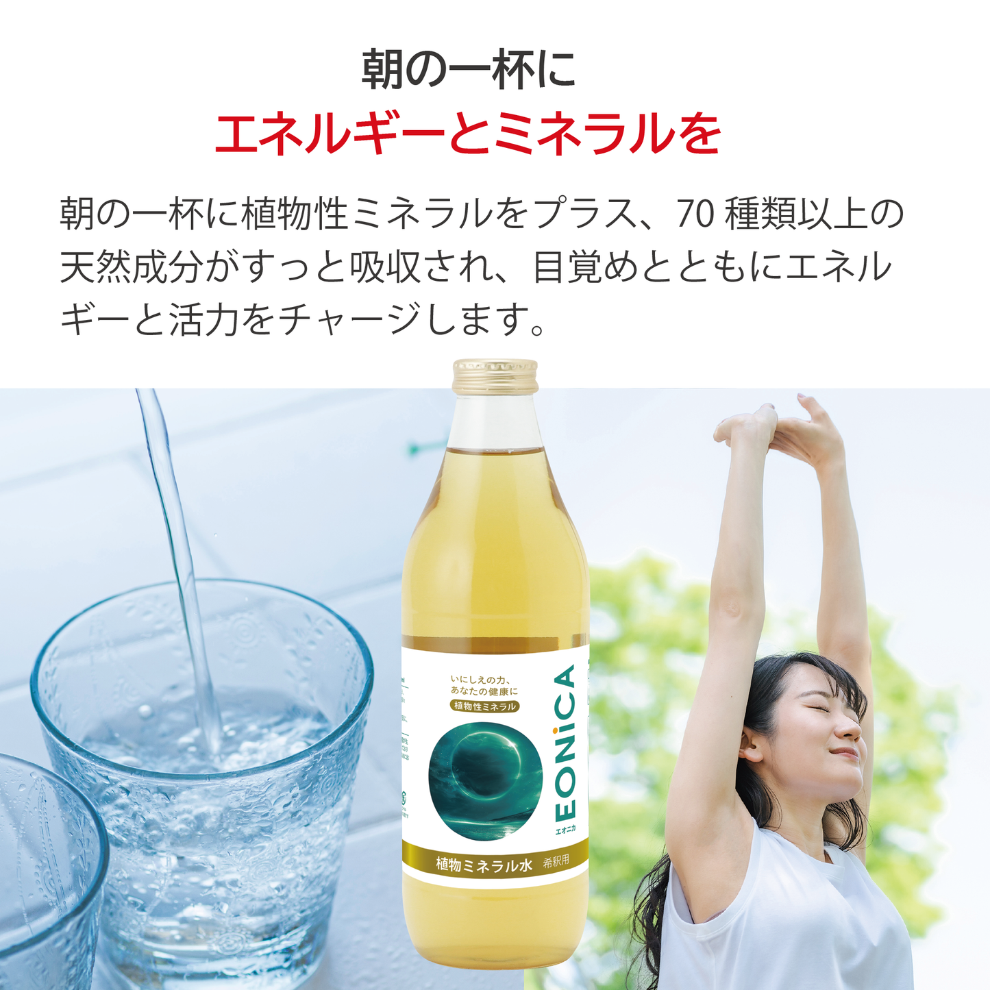 EONiCA 植物ミネラル水 1000mL