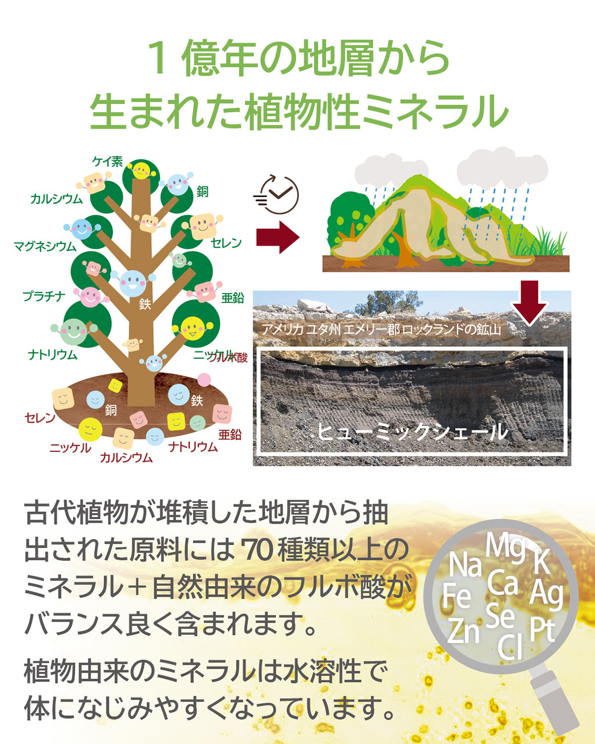 EONiCA プラミン 360mL