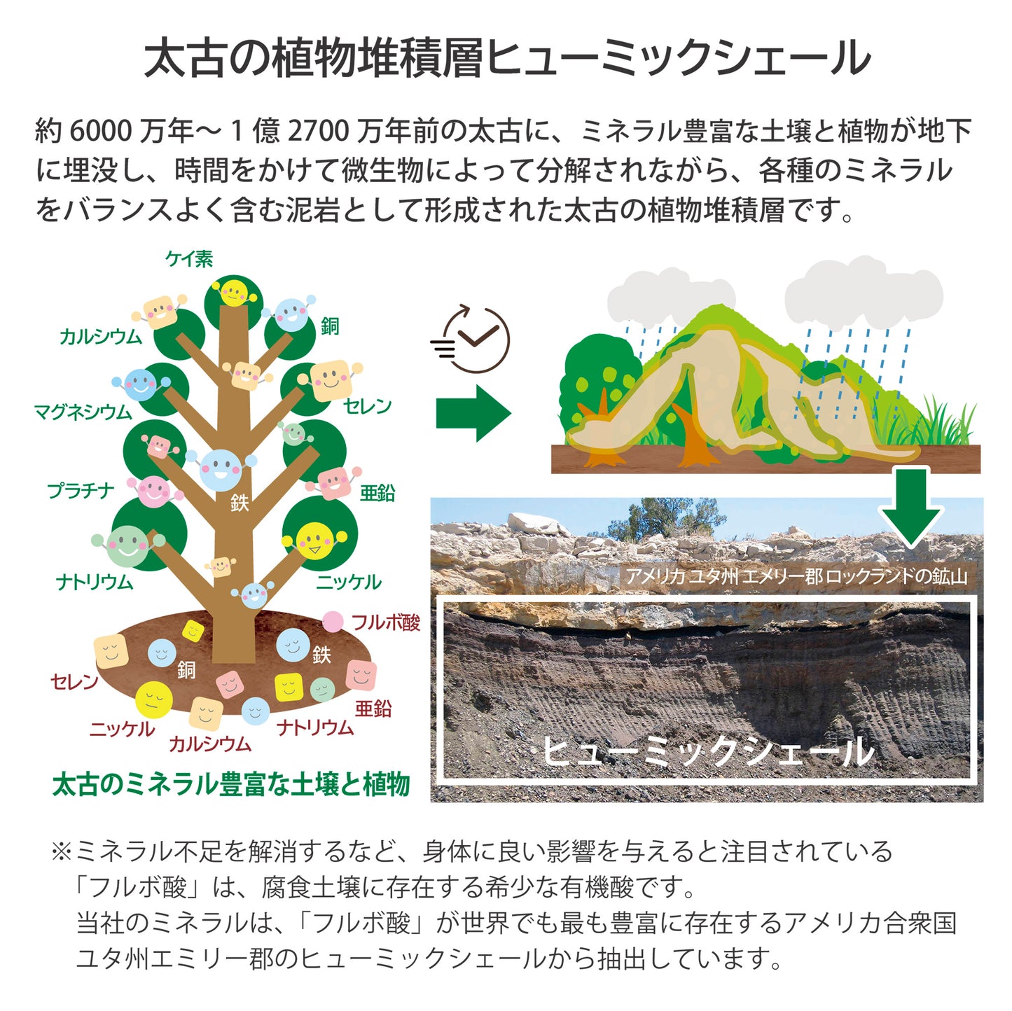 EONiCA プラントミネラル 360mL